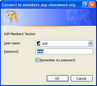 Web site passwords