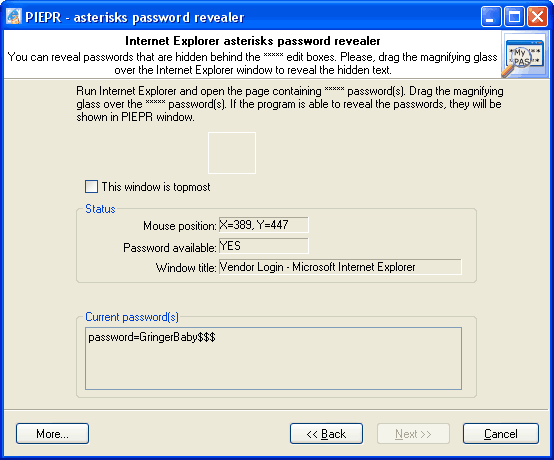 Internet Explorer asterisks passwords
