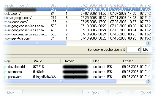 Decrypted cookies